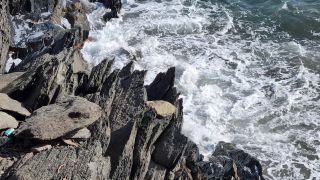 2024-01-Paseo_Costa_Canaria-San_Agustin-Ingles-097.jpg